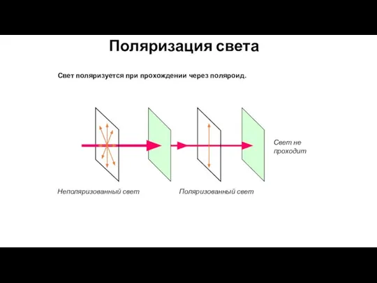 Поляризация света Свет поляризуется при прохождении через поляроид. Неполяризованный свет Поляризованный свет