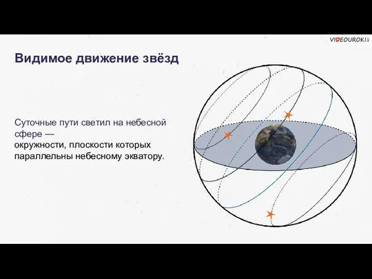 Суточные пути светил на небесной сфере — окружности, плоскости которых параллельны небесному экватору. Видимое движение звёзд