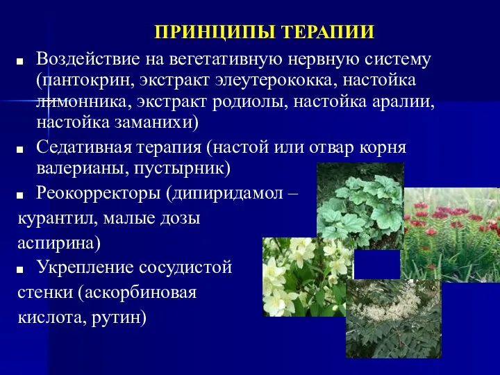 ПРИНЦИПЫ ТЕРАПИИ Воздействие на вегетативную нервную систему (пантокрин, экстракт элеутерококка, настойка лимонника,