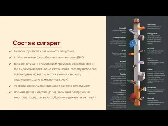 Состав сигарет Никотин (приводит к зависимости от курения) N-Нитрозамины (способны вызывать мутации