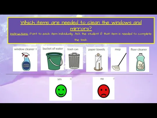 Which items are needed to clean the windows and mirrors? Instructions: Point