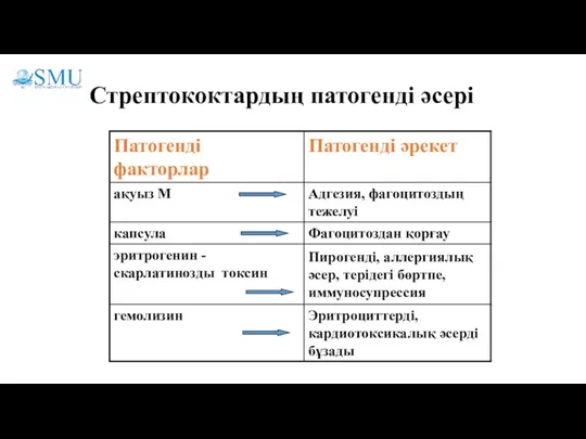 Стрептококтардың патогенді әсері