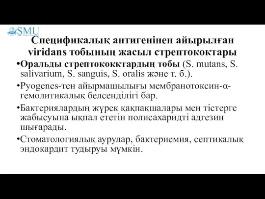 Спецификалық антигенінен айырылған viridans тобының жасыл стрептококтары Оральды стрептококктардың тобы (S. mutans,