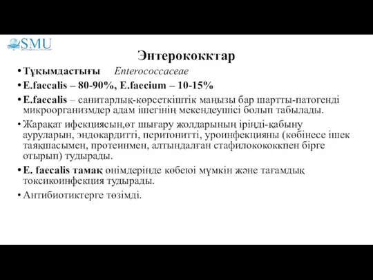 Энтерококктар Тұқымдастығы Enterococcaceae E.faecalis – 80-90%, E.faecium – 10-15% E.faecalis – санитарлық-көрсеткіштік