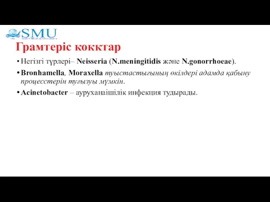 Грамтеріс кокктар Негізгі түрлері– Neisseria (N.meningitidis және N.gonorrhoeae). Bronhamella, Moraxella туыстастығының өкілдері