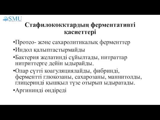 Стафилококктардың ферментативті қасиеттері Протео- және сахаролитикалық ферменттер Индол қалыптастырмайды Бактерия желатинді сұйылтады,