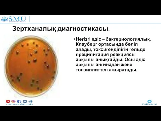 Зертханалық диагностикасы. Негізгі әдіс – бактериологиялық. Клауберг ортасында бөліп алады, токсигенділігін гельде