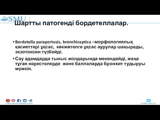 Шартты патогенді бордетеллалар. Bordetella parapertusis, bronchiceptica –морфологиялық қасиеттері ұқсас, көкжөтелге ұқсас аурулар