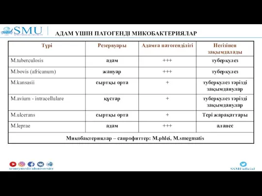 АДАМ ҮШІН ПАТОГЕНДІ МИКОБАКТЕРИЯЛАР