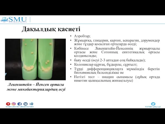 Дақылдық қасиеті Левенштейн – Йенсен ортасы және микобактериялардың өсуі Аэробтар; Жұмыртқа, глицерин,