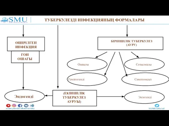 ТУБЕРКУЛЕЗДІ ИНФЕКЦИЯНЫҢ ФОРМАЛАРЫ БІРІНШІЛІК ТУБЕРКУЛЕЗ (АУРУ) ӨШІРІЛГЕН ИНФЕКЦИЯ ГОН ОШАҒЫ (ЕКІНШІЛІК ТУБЕРКУЛЕЗ