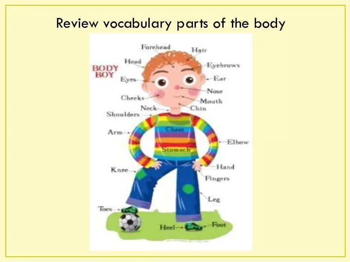 Review vocabulary parts of the body