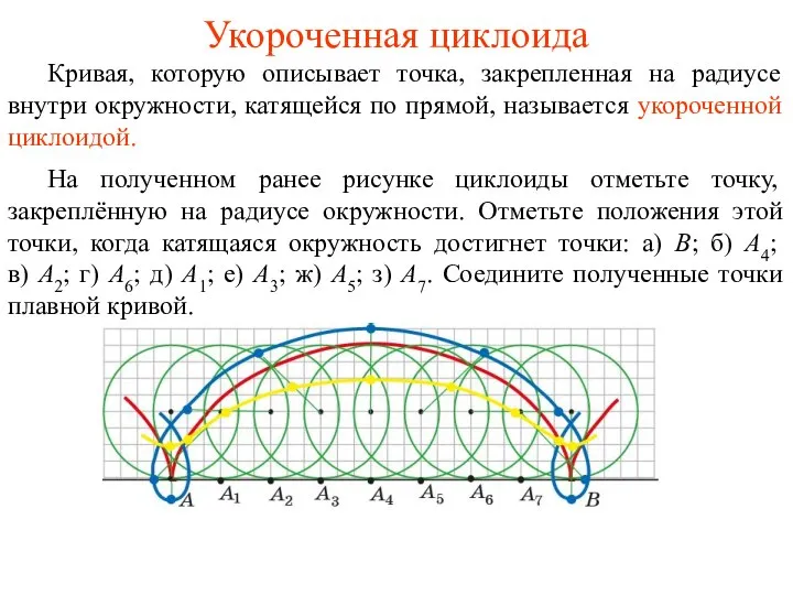 Укороченная циклоида Кривая, которую описывает точка, закрепленная на радиусе внутри окружности, катящейся