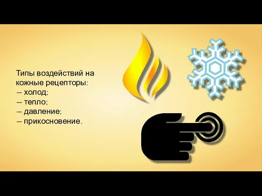 Типы воздействий на кожные рецепторы: — холод; — тепло; — давление; — прикосновение.