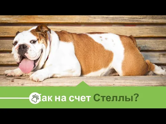 Как на счет Стеллы?