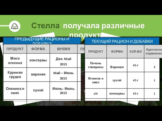 Стелла получала различные продукты ПРЕДЫДУЩИЕ РАЦИОНЫ И ДОБАВКИ ТЕКУЩИЙ РАЦИОН И ДОБАВКИ