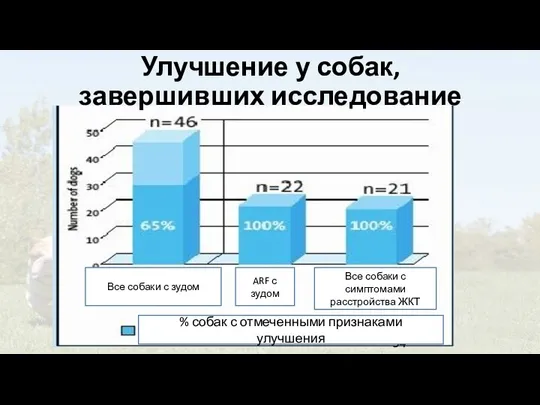 Улучшение у собак, завершивших исследование Все собаки с зудом ARF с зудом