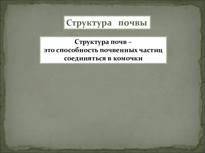 . Структура почв – это способность почвенных частиц соединяться в комочки Структура почвы