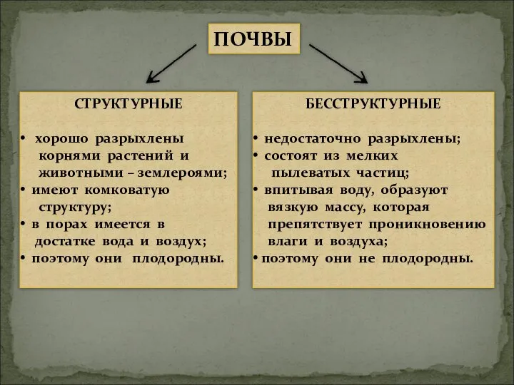 ПОЧВЫ СТРУКТУРНЫЕ хорошо разрыхлены корнями растений и животными – землероями; имеют комковатую