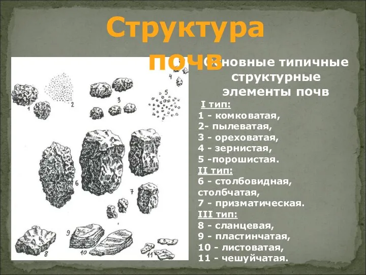 Основные типичные структурные элементы почв I тип: 1 - комковатая, 2- пылеватая,