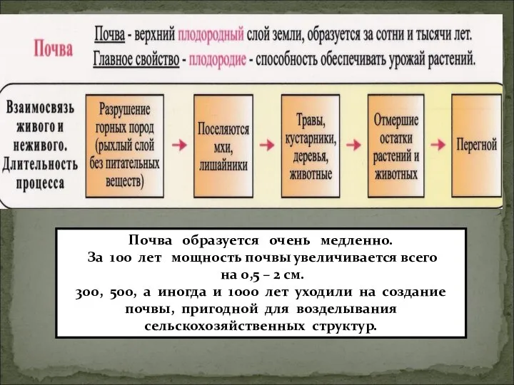 Почва образуется очень медленно. За 100 лет мощность почвы увеличивается всего на