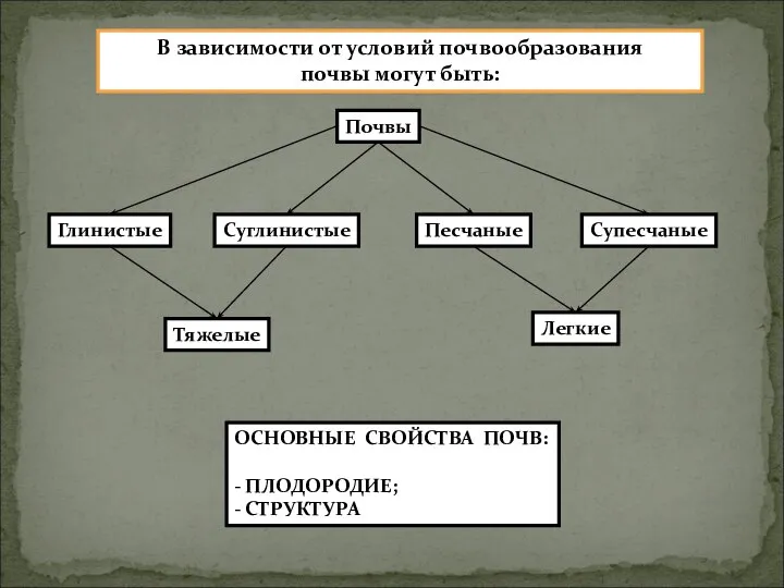 В зависимости от условий почвообразования почвы могут быть: Почвы Глинистые Суглинистые Песчаные