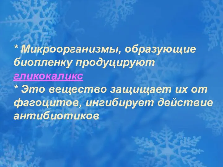 * Микроорганизмы, образующие биопленку продуцируют гликокаликс * Это вещество защищает их от фагоцитов, ингибирует действие антибиотиков