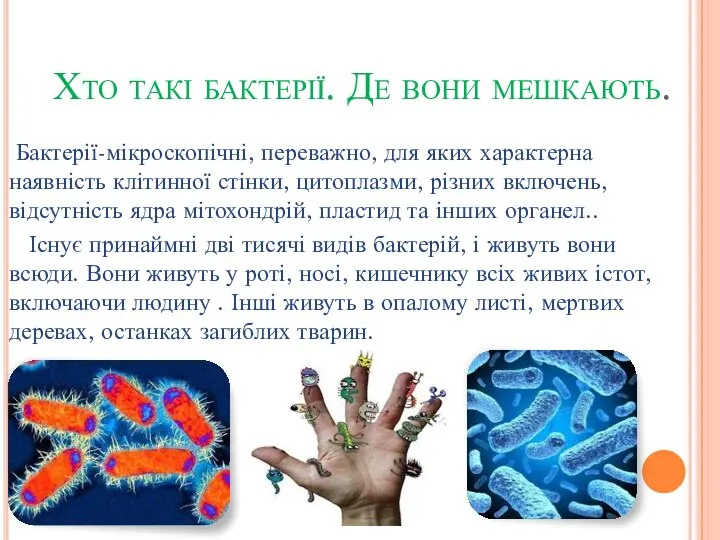 Хто такі бактерії. Де вони мешкають. Бактерії-мікроскопічні, переважно, для яких характерна наявність