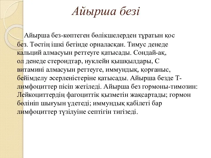 Айырша безі Айырша без-көптеген бөлікшелерден тұратын қос без. Төстің ішкі бетінде орналасқан.