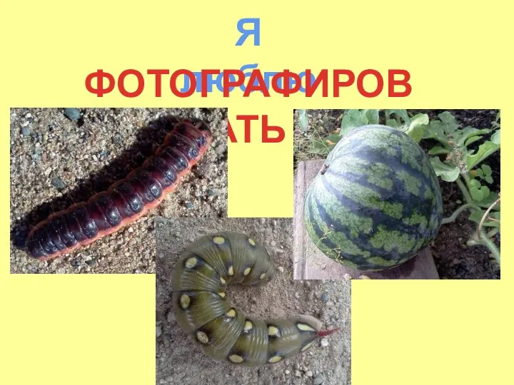 Я люблю ФОТОГРАФИРОВАТЬ