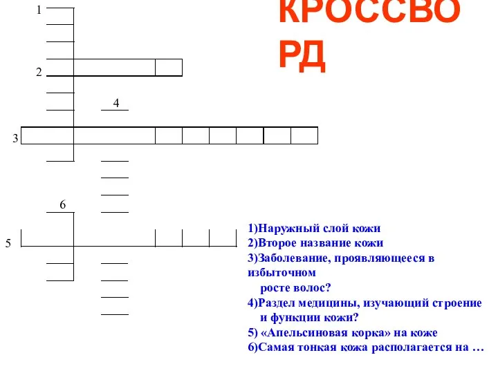 2 3 4 5 6 1)Наружный слой кожи 2)Второе название кожи 3)Заболевание,