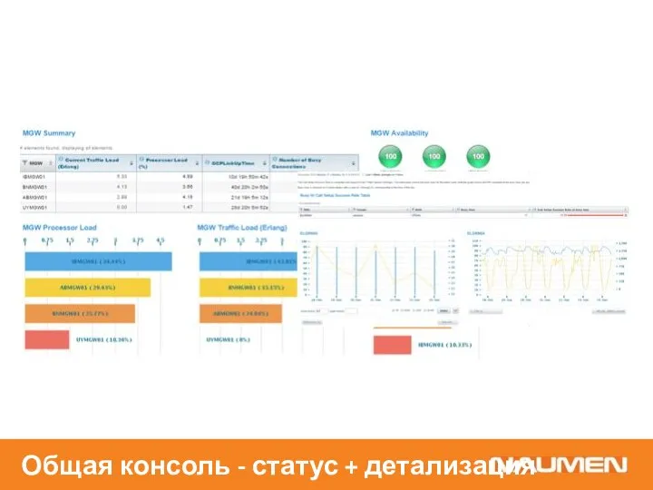 Общая консоль - статус + детализация