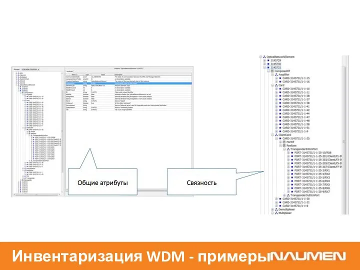 Инвентаризация WDM - примеры