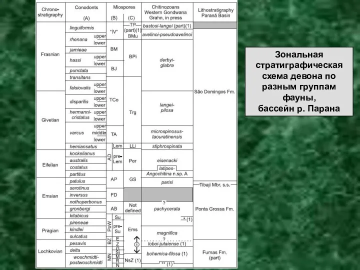 Зональная стратиграфическая схема девона по разным группам фауны, бассейн р. Парана