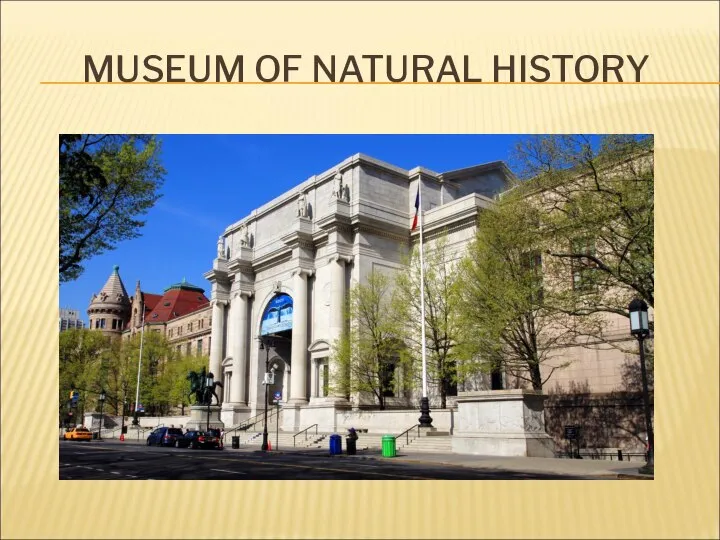 MUSEUM OF NATURAL HISTORY