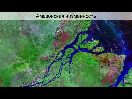 Амазонская низменность