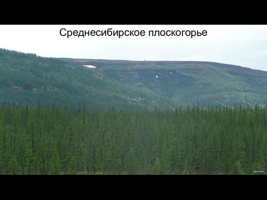 Среднесибирское плоскогорье jxandreani