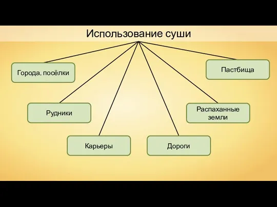 Использование суши Города, посёлки Рудники Карьеры Пастбища Дороги Распаханные земли