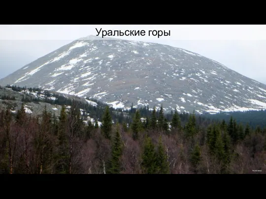 Уральские горы Acodered