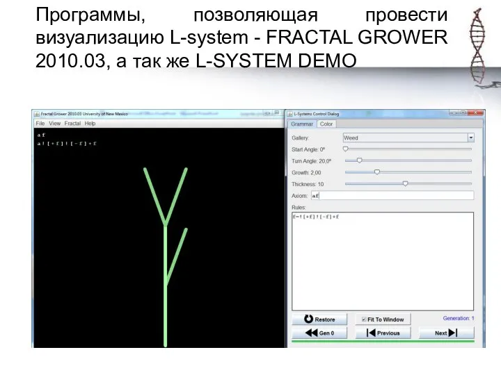 Программы, позволяющая провести визуализацию L-system - FRACTAL GROWER 2010.03, а так же L-SYSTEM DEMO