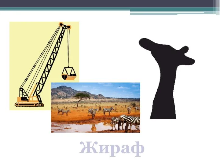 Жираф