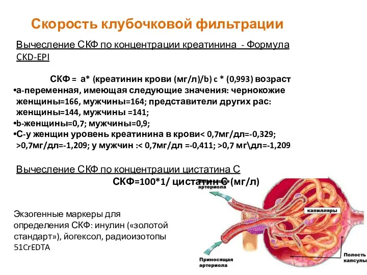 Скорость клубочковой фильтрации Вычесление СКФ по концентрации креатинина - Формула CKD-EPI СКФ