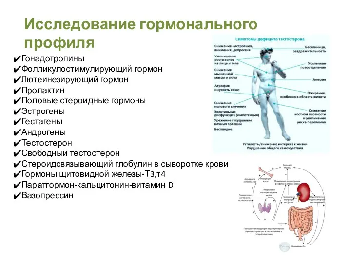 Исследование гормонального профиля Гонадотропины Фолликулостимулирующий гормон Лютеинезирующий гормон Пролактин Половые стероидные гормоны