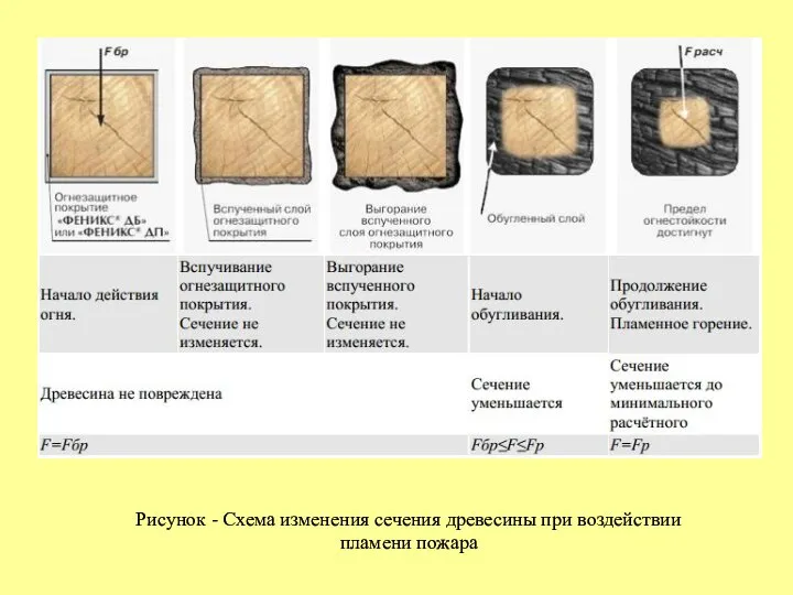 Рисунок - Схема изменения сечения древесины при воздействии пламени пожара