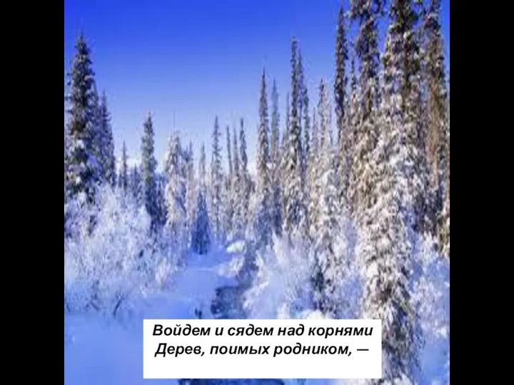 Войдем и сядем над корнями Дерев, поимых родником, —