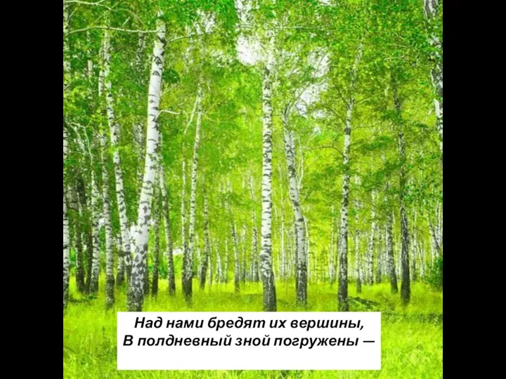 Над нами бредят их вершины, В полдневный зной погружены —