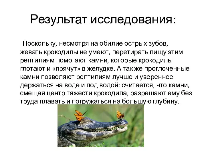 Результат исследования: Поскольку, несмотря на обилие острых зубов, жевать крокодилы не умеют,