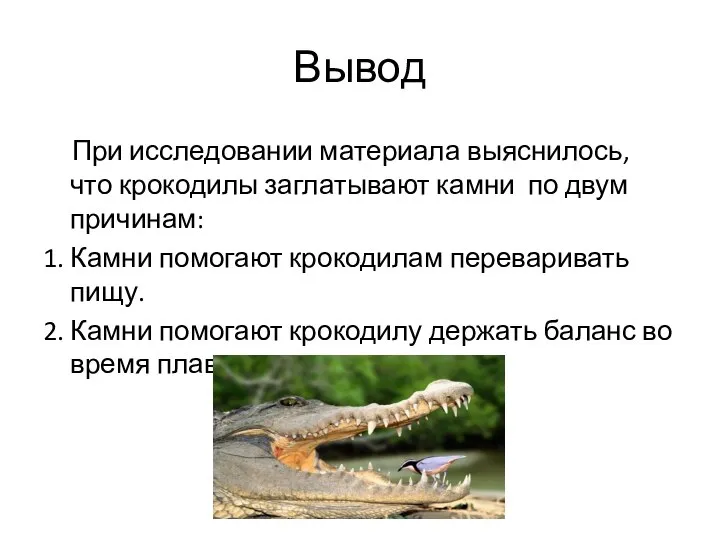 Вывод При исследовании материала выяснилось, что крокодилы заглатывают камни по двум причинам: