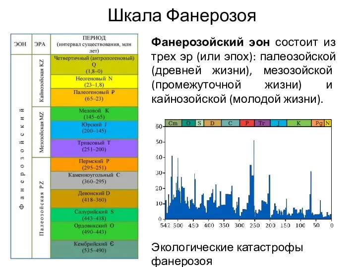 Шкала Фанерозоя Фанерозойский эон состоит из трех эр (или эпох): палеозойской (древней