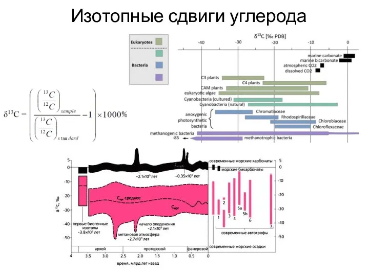 Изотопные сдвиги углерода